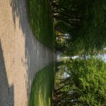 20-DSC_6002